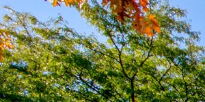 3 Bedroom Apartments Toledo Ohio - Search your favorite Image